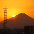 写真: 金色に輝く今日の富士