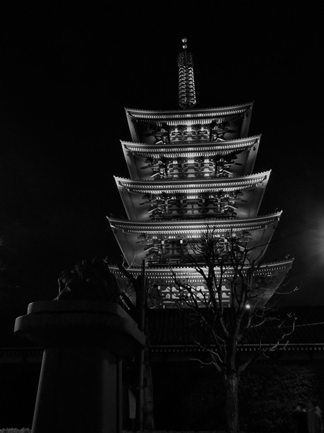 写真: 浅草寺の夜