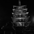 Photos: 浅草寺の夜