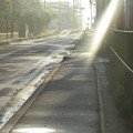 写真: IMG_2977朝の路面の反射