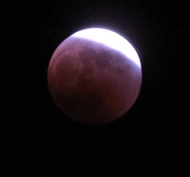 写真: 赤く染まり始めた月