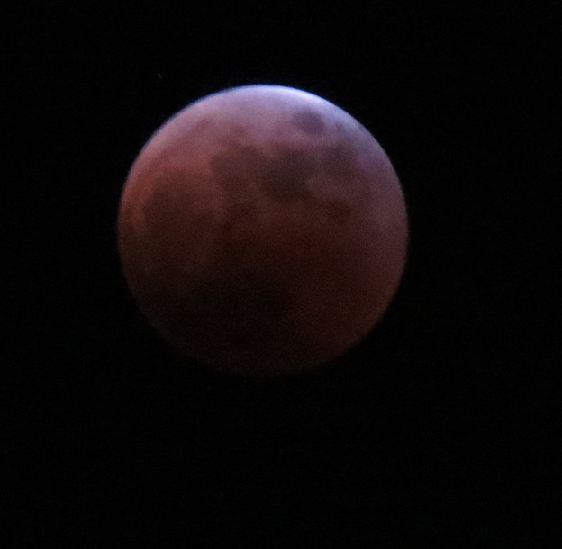 写真: 赤く染まる月