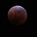 Photos: 赤く染まる月