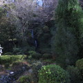 写真: IMG_1345滝のある庭