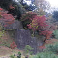 IMG_1486金沢城の石垣