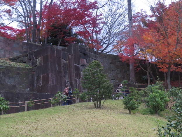 写真: IMG_1487金沢城の石垣