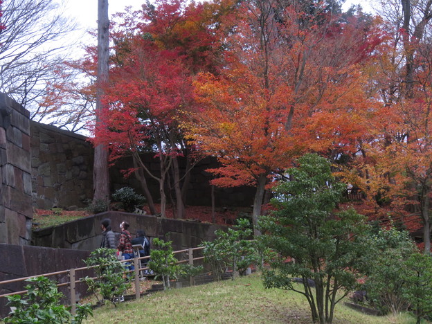 IMG_1490金沢城の石垣