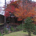 写真: IMG_1490金沢城の石垣