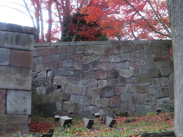 IMG_1495金沢城の石垣