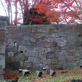 Photos: IMG_1495金沢城の石垣