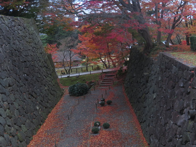 Photos: IMG_1501金沢城の石垣