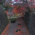 Photos: IMG_1501金沢城の石垣