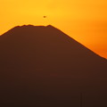 Photos: 夕暮れの富士