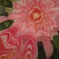 写真: IMG_7089 コップの底に咲かせた花