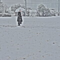 写真: DSCN1571雪の田圃を行く