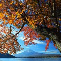 紅葉と富士山