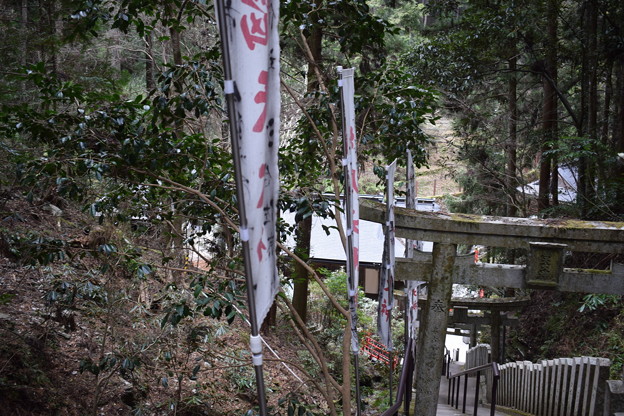 写真: 奈良県吉野の写真0082