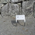 写真: 大石神社・赤穂城跡の写真0131
