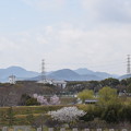写真: 大石神社・赤穂城跡の写真0136