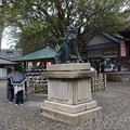 写真: 尾山神社の写真0005