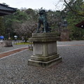 写真: 尾山神社の写真0006