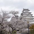 姫路城の写真0398