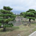 写真: 姫路城の写真0411