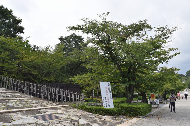 写真: 姫路城の写真0421