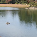 Photos: 岡山後楽園の写真0038