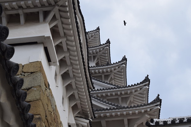 姫路城の写真0538