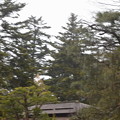 写真: 金沢城・兼六園の写真0312