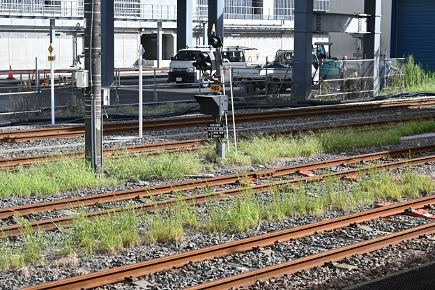 敦賀駅の写真0083
