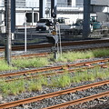 写真: 敦賀駅の写真0083