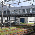 写真: 敦賀駅の写真0086