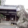 写真: 55 大井神社