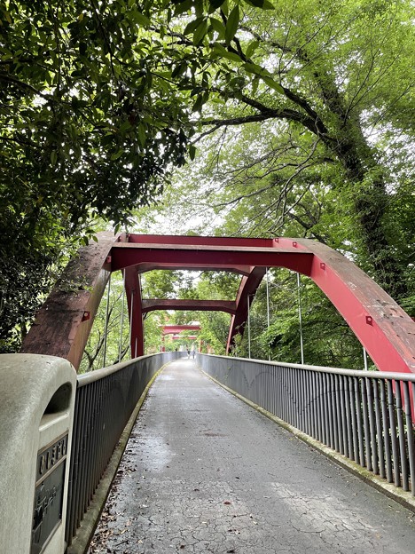 写真: 鹿島橋を渡る