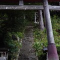 Photos: 奥多摩_むかし道_羽黒三田神社-2239