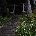 Photos: 奥多摩_むかし道_羽黒三田神社-2240