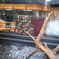 写真: 入鹿TOKYO 六本木店