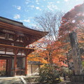 写真: 秋の室生寺1125 (8)