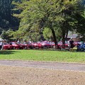 写真: 赤い車たちの後ろでピクニック