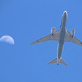 Photos: JA818A　全日空　Boeing 787-8 Dreamliner
