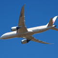 Photos: JAL787-8 Dreamliner