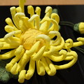 写真: 菊の琴爪袋を作る