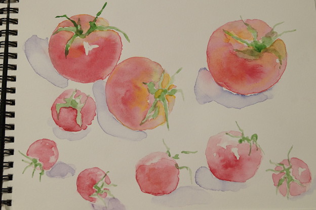 写真: 透明水彩　トマトとプチトマトを描く