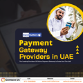 写真: Payment Gateway Providers in the UAE (1)