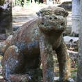 写真: ひなびた神社の狛犬