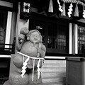 写真: 恵比寿神社