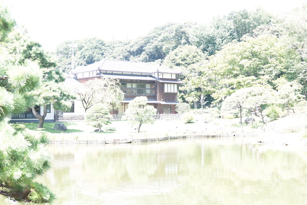 写真: 肥後細川庭園　ハイキーバージョン