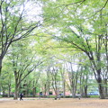 Photos: 上野公園にて　ハイキーバージョン
